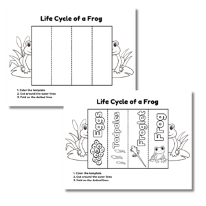 Frog life cycle print and play