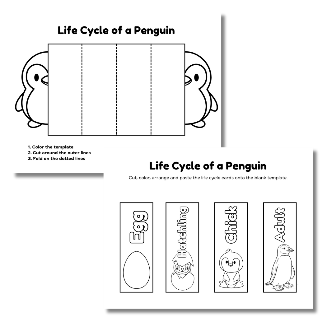 Cut & Color: Chicken Life Cycle - Image 2