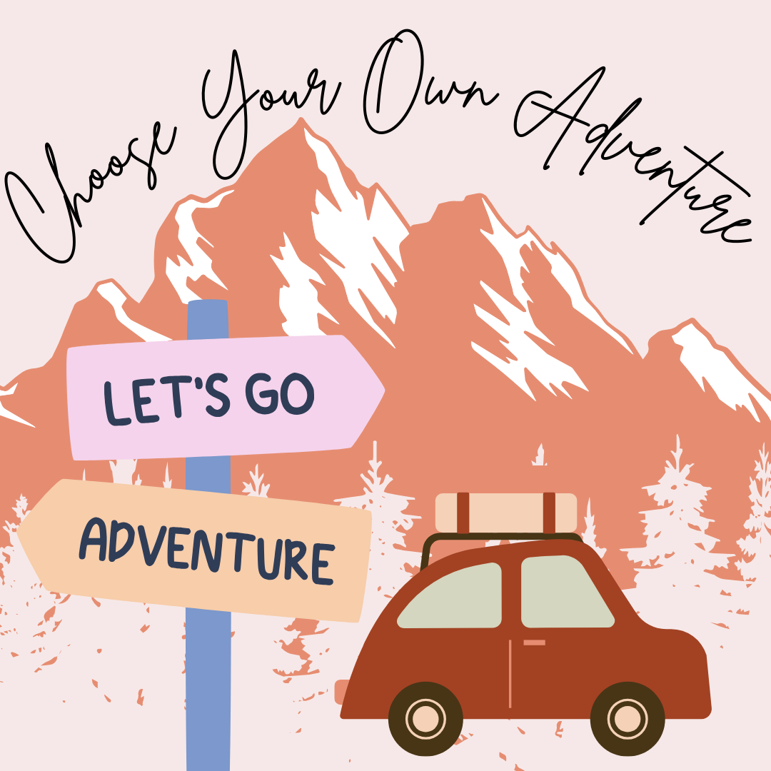 choose your own adventure cover