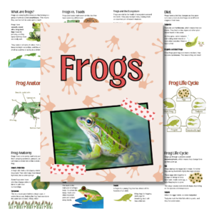 Cover for frog unit study in pink