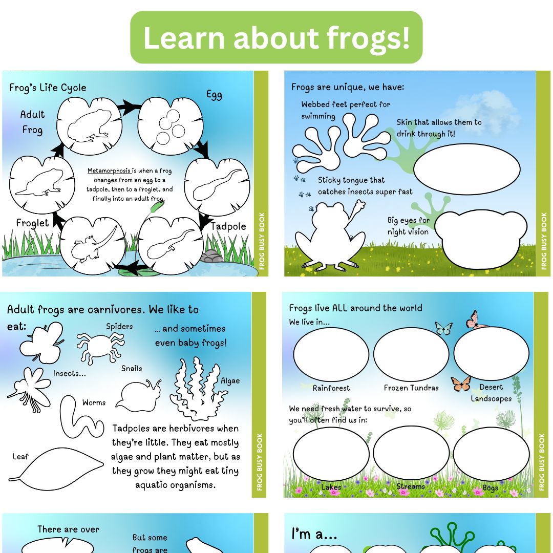 Frog Busy Book - Image 2