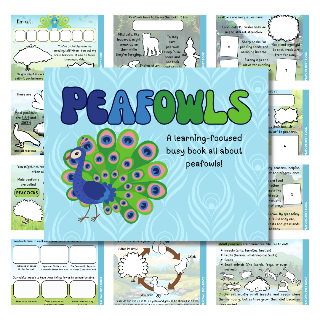 Cover image for peafowl busy book in blue