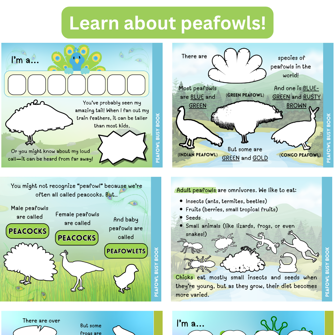 Peafowl Busy Book - Image 2