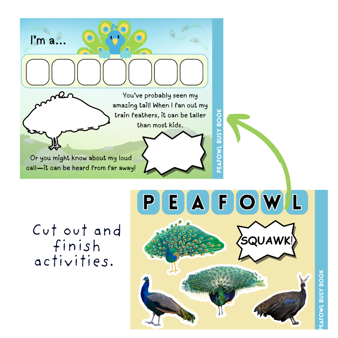 Peafowl Busy Book - Image 4