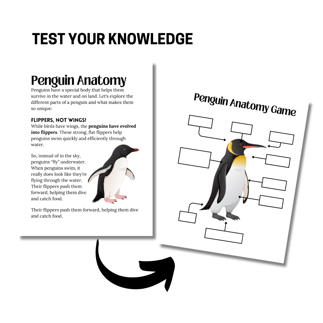 Unit Study: Penguins - Image 2
