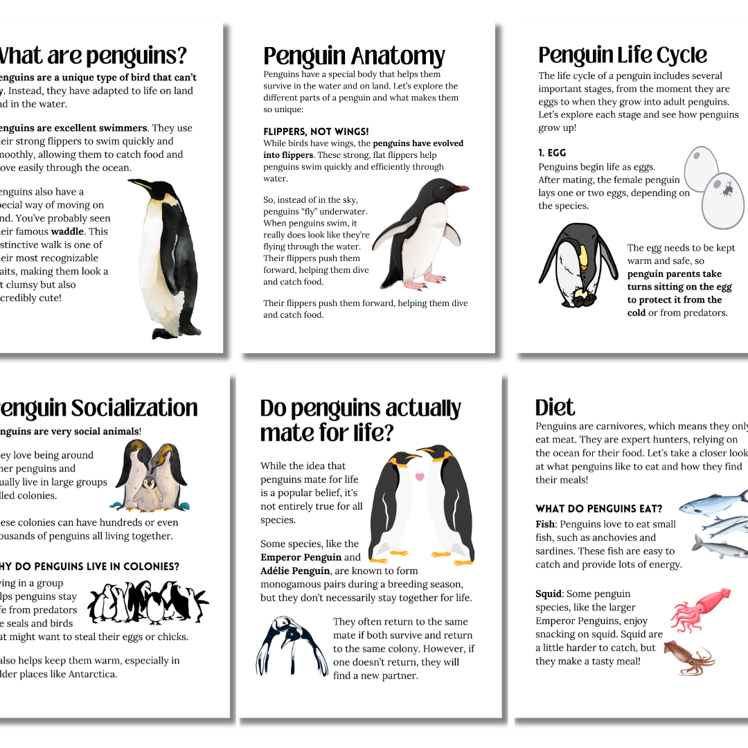 Unit Study: Penguins - Image 4