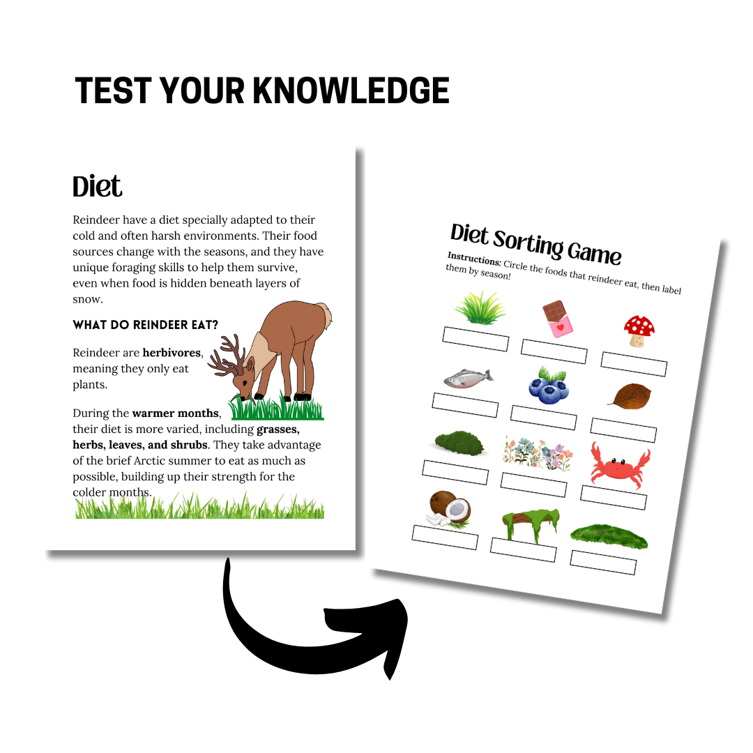 Unit Study: Reindeer - Image 2