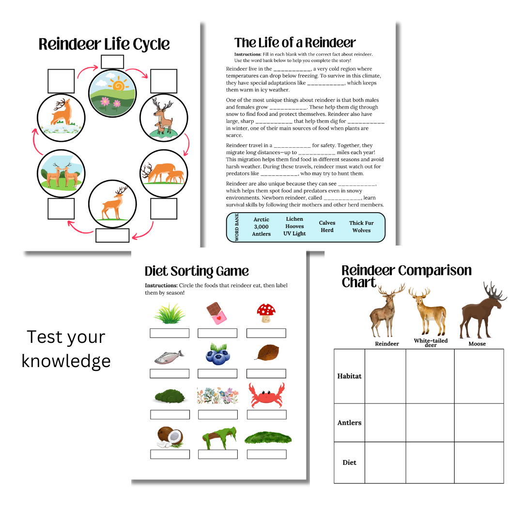 Unit Study: Reindeer - Image 4