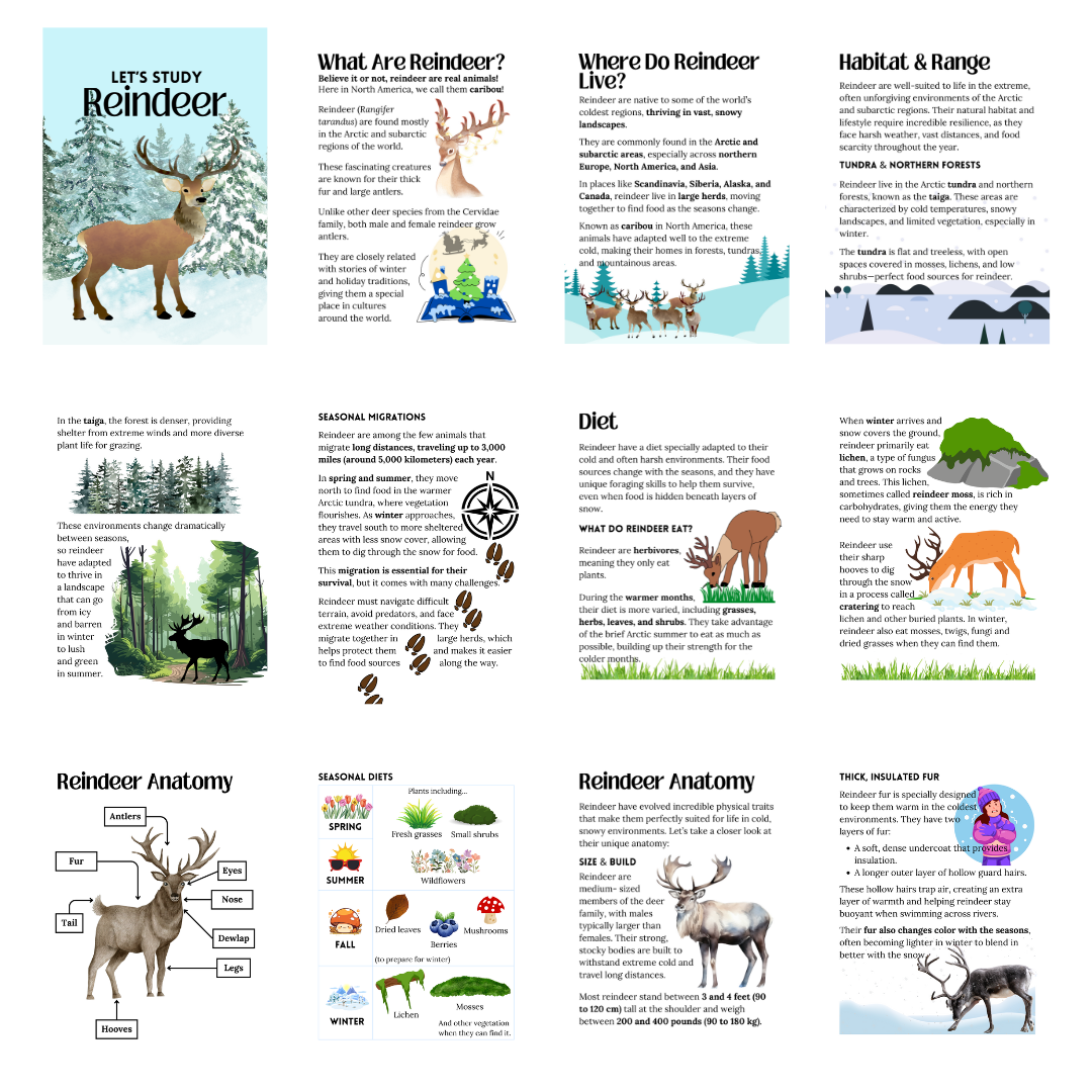 Unit Study: Reindeer - Image 5