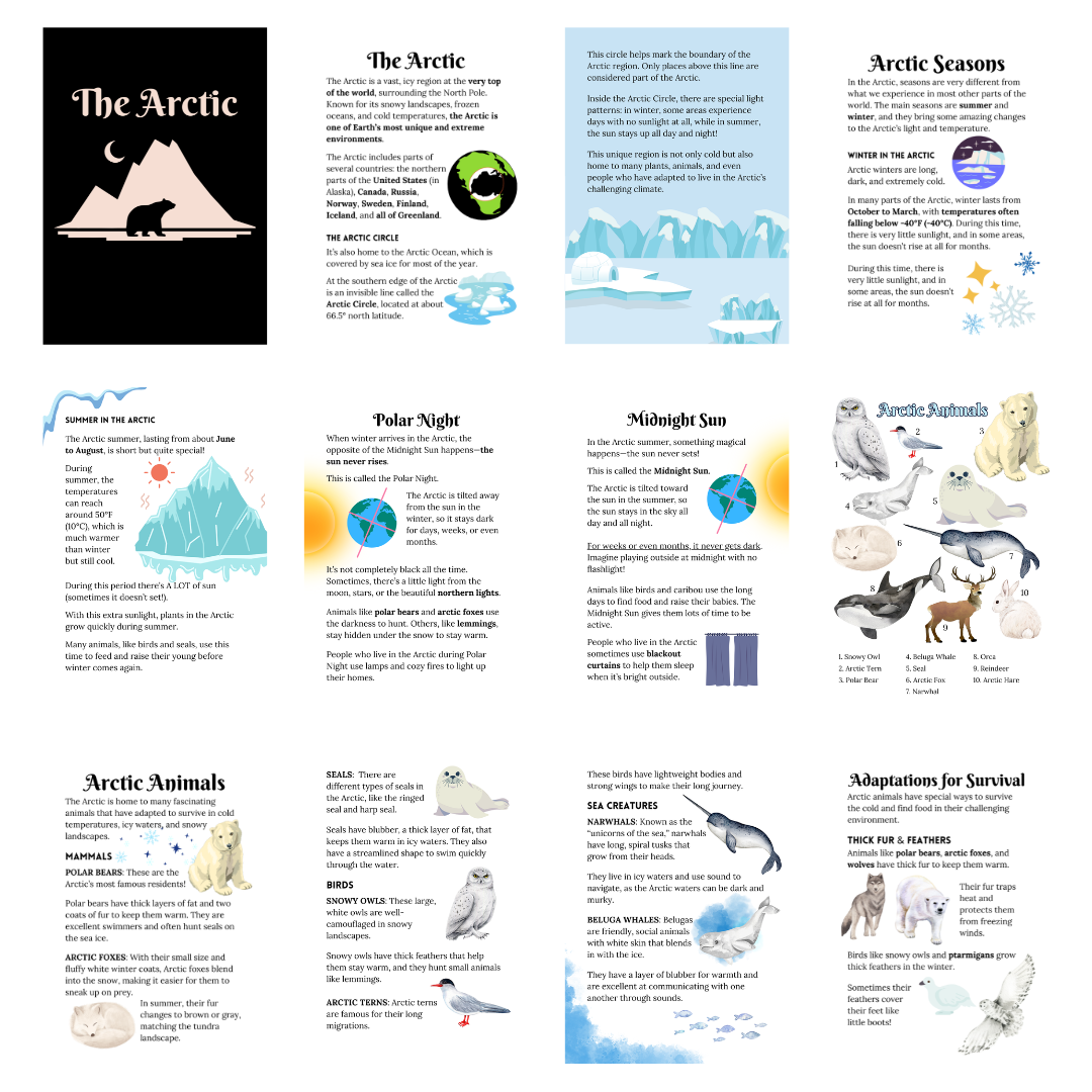 Let’s Study: The Arctic in Black - Image 3