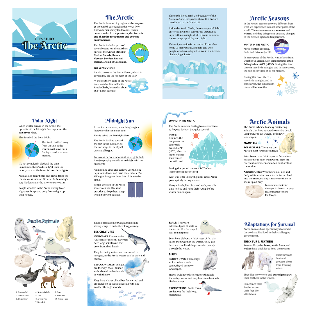 Let’s Study: The Arctic in Blue - Image 3