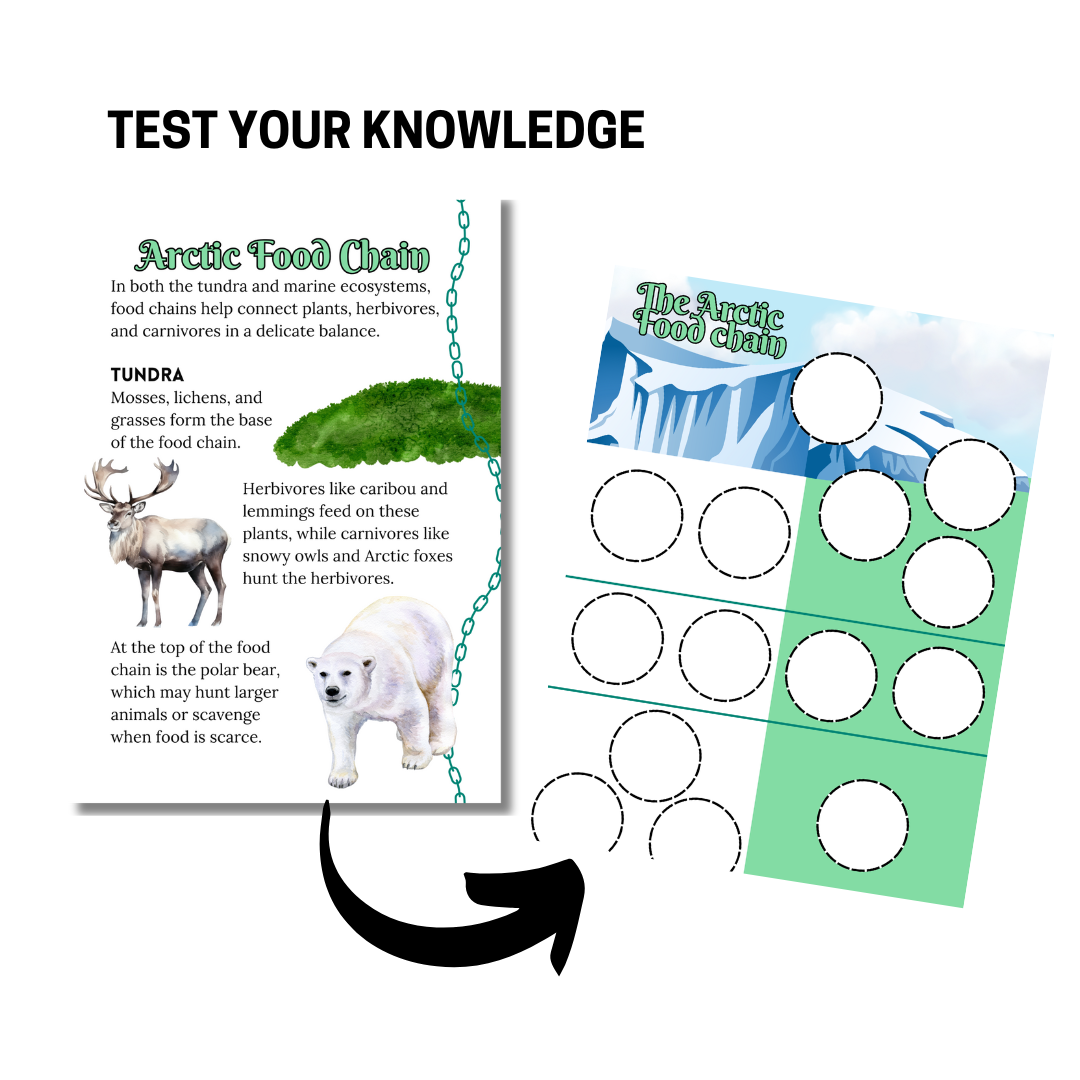 Let’s Study: The Arctic in Green - Image 2