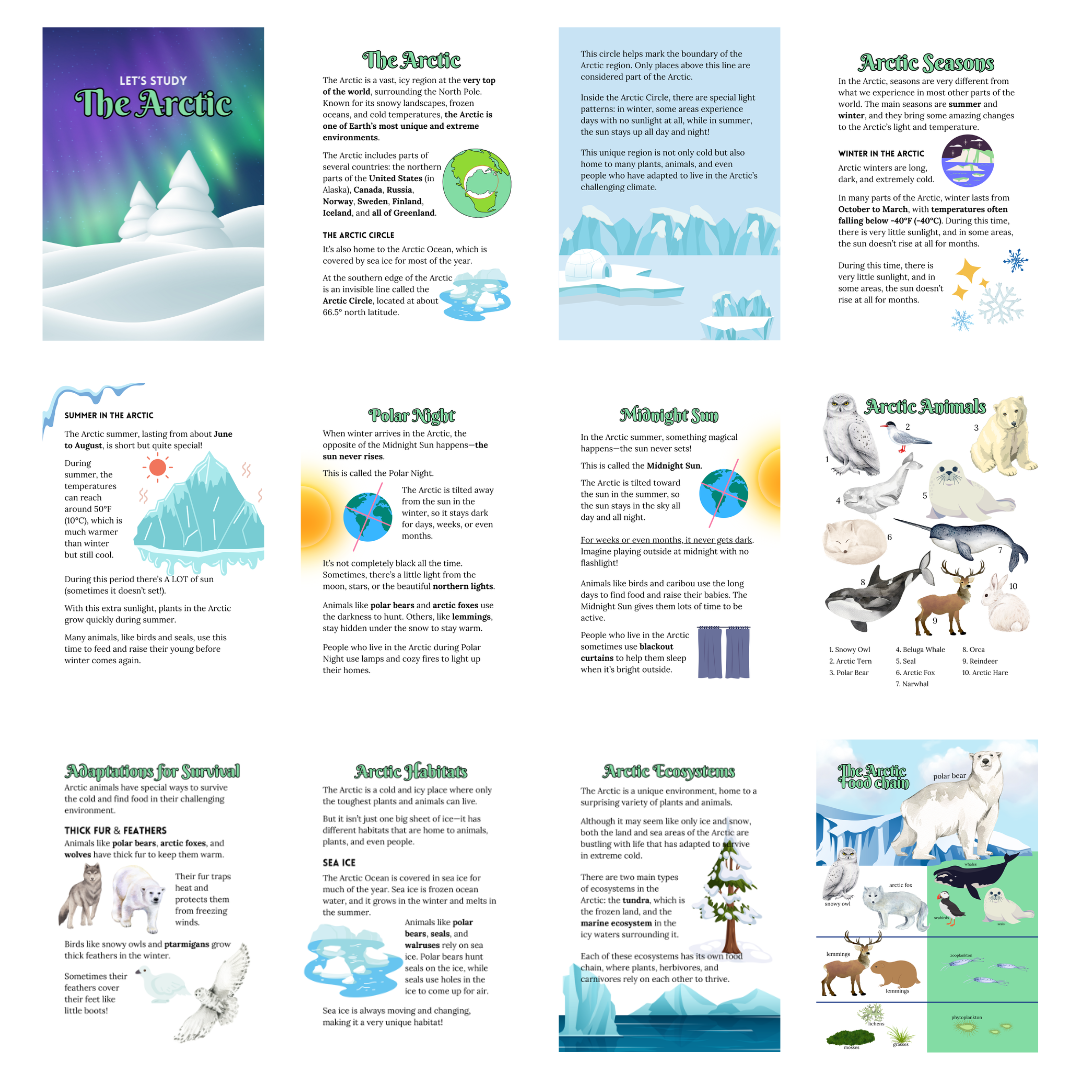 Let’s Study: The Arctic in Green - Image 3