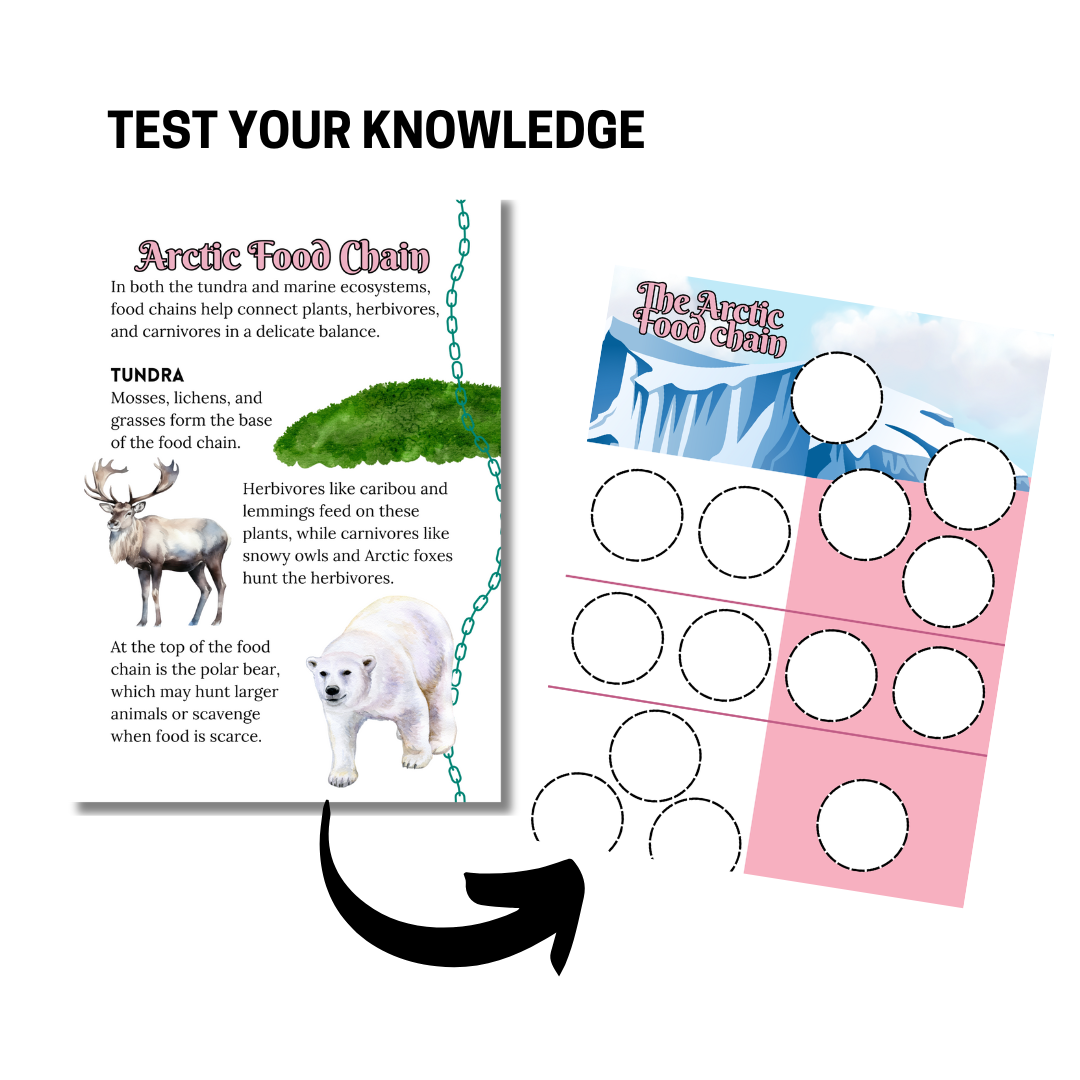 Let’s Study: The Arctic in Pink - Image 2