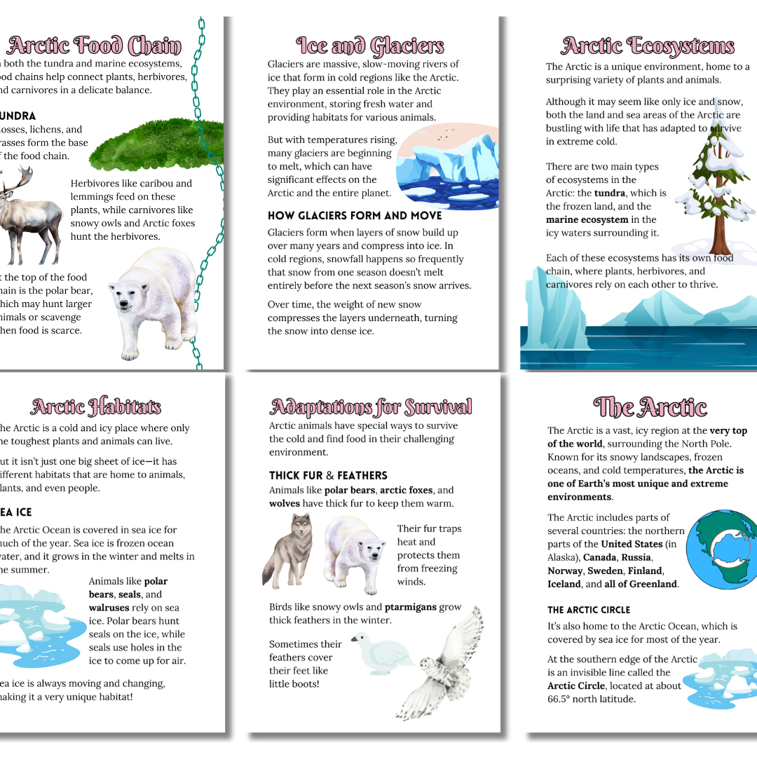 Let’s Study: The Arctic in Pink - Image 5