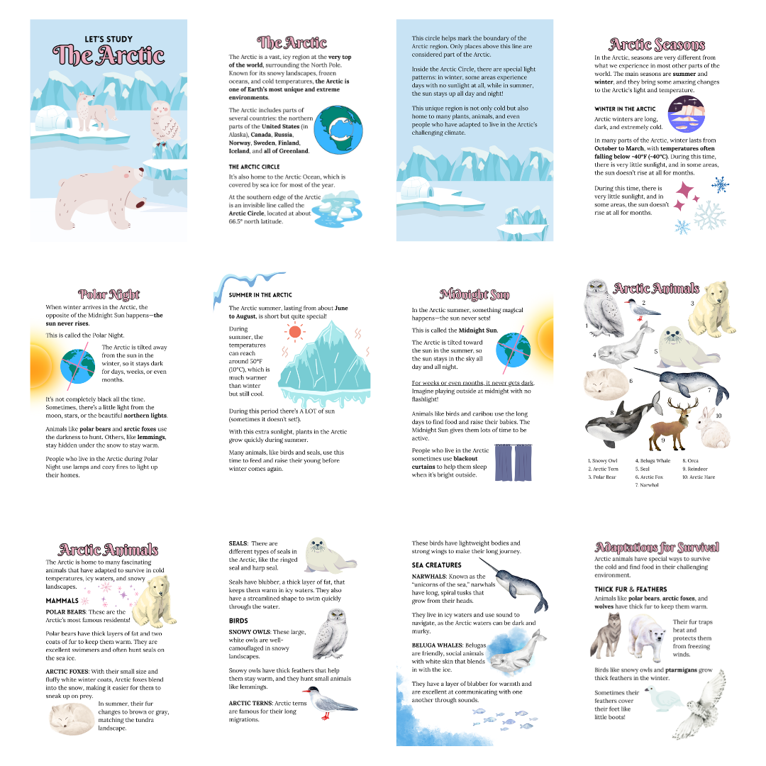 Let’s Study: The Arctic in Pink - Image 3