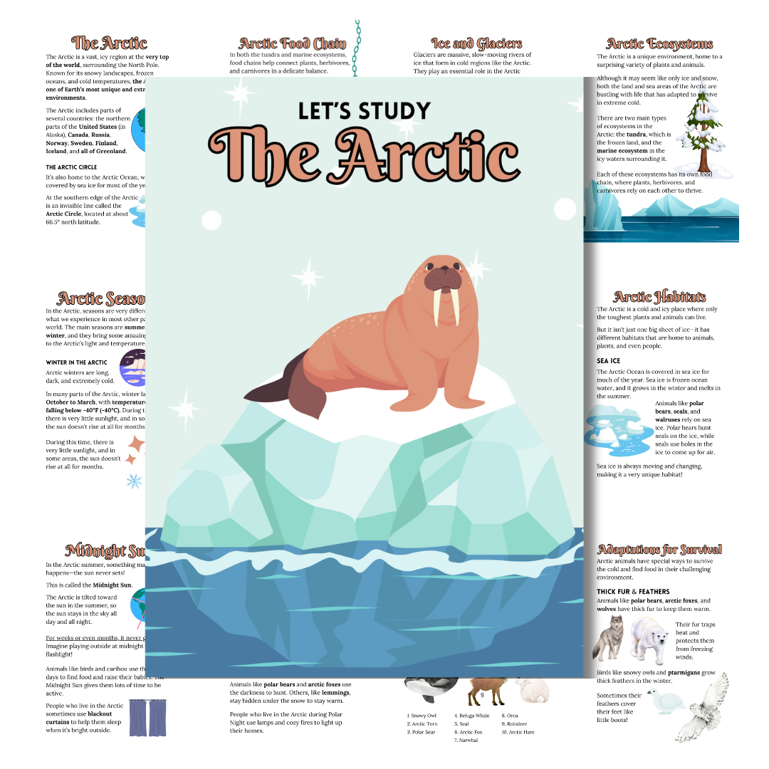 Cover image for the arctic unit study in brown