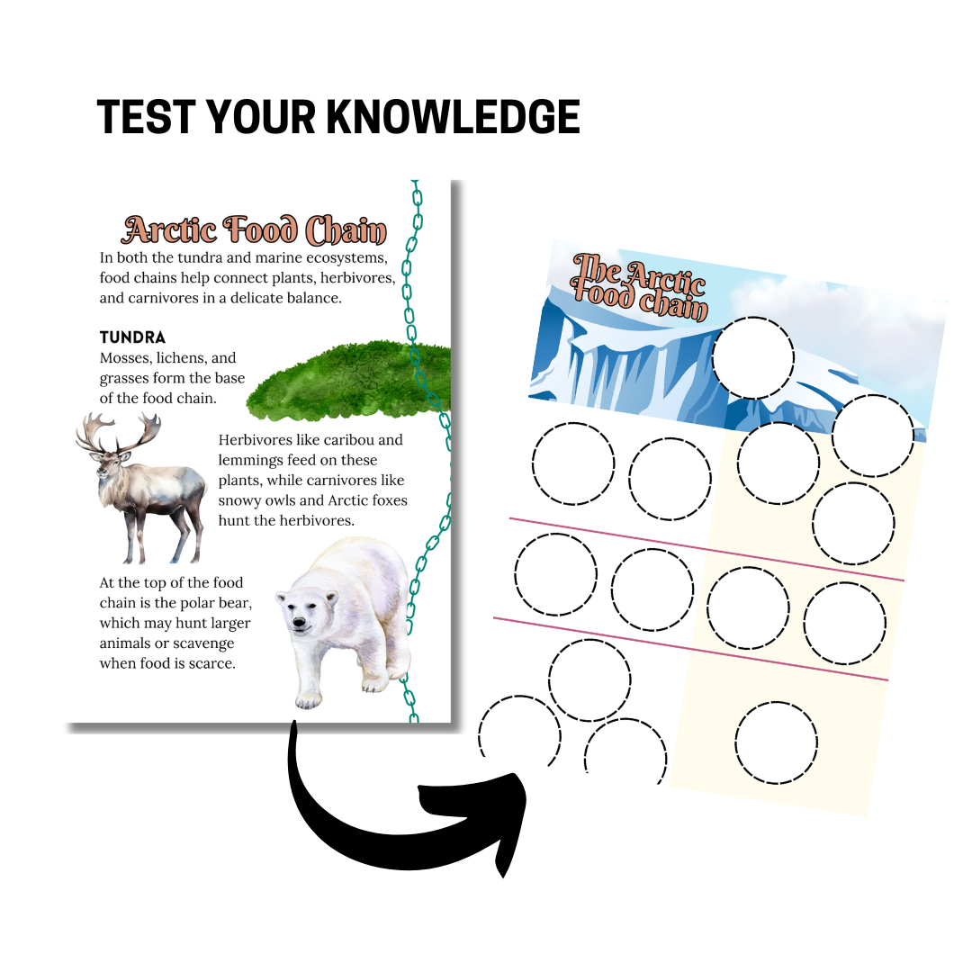 Let’s Study: The Arctic in Brown - Image 5