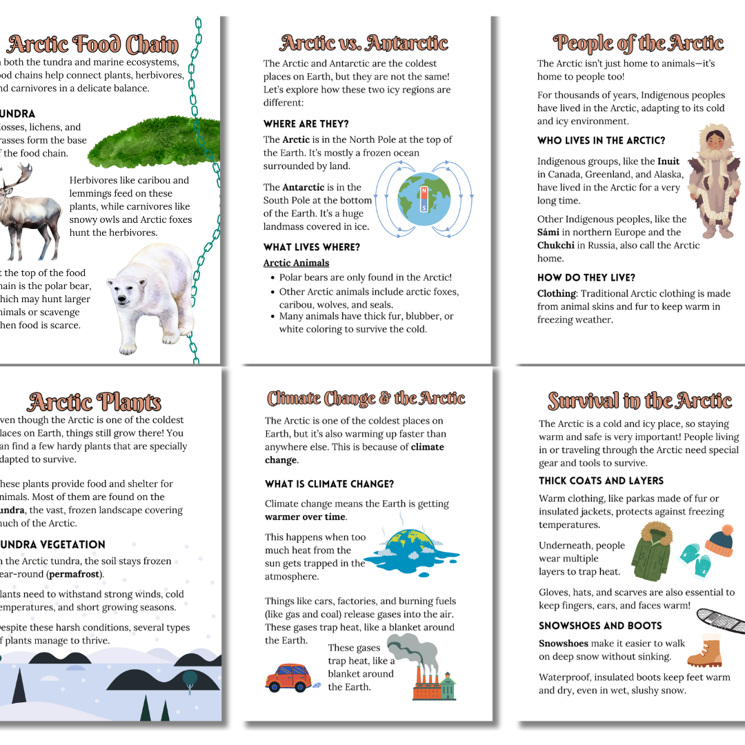 Let’s Study: The Arctic in Brown - Image 4