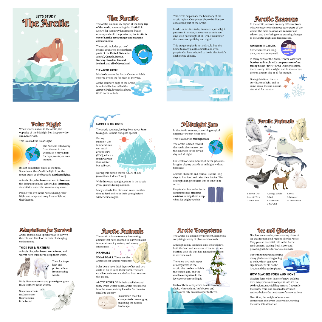 Let’s Study: The Arctic in Brown - Image 2