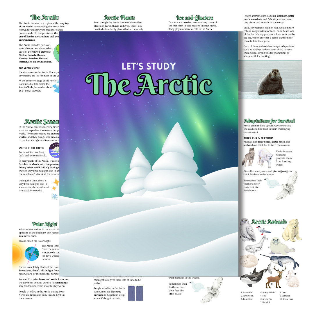 Cover image for arctic unit study in green