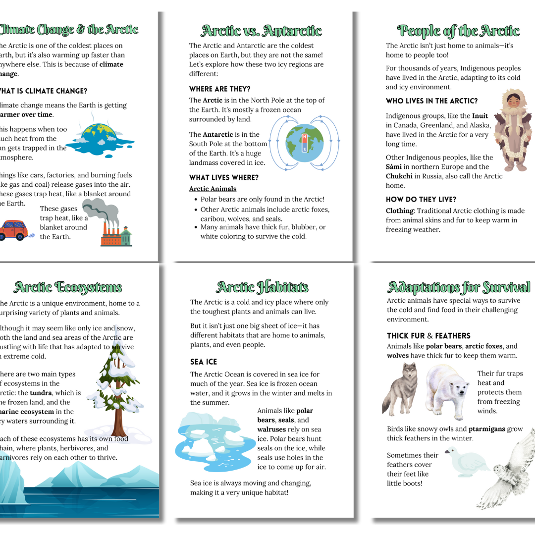 Let’s Study: The Arctic in Green - Image 5