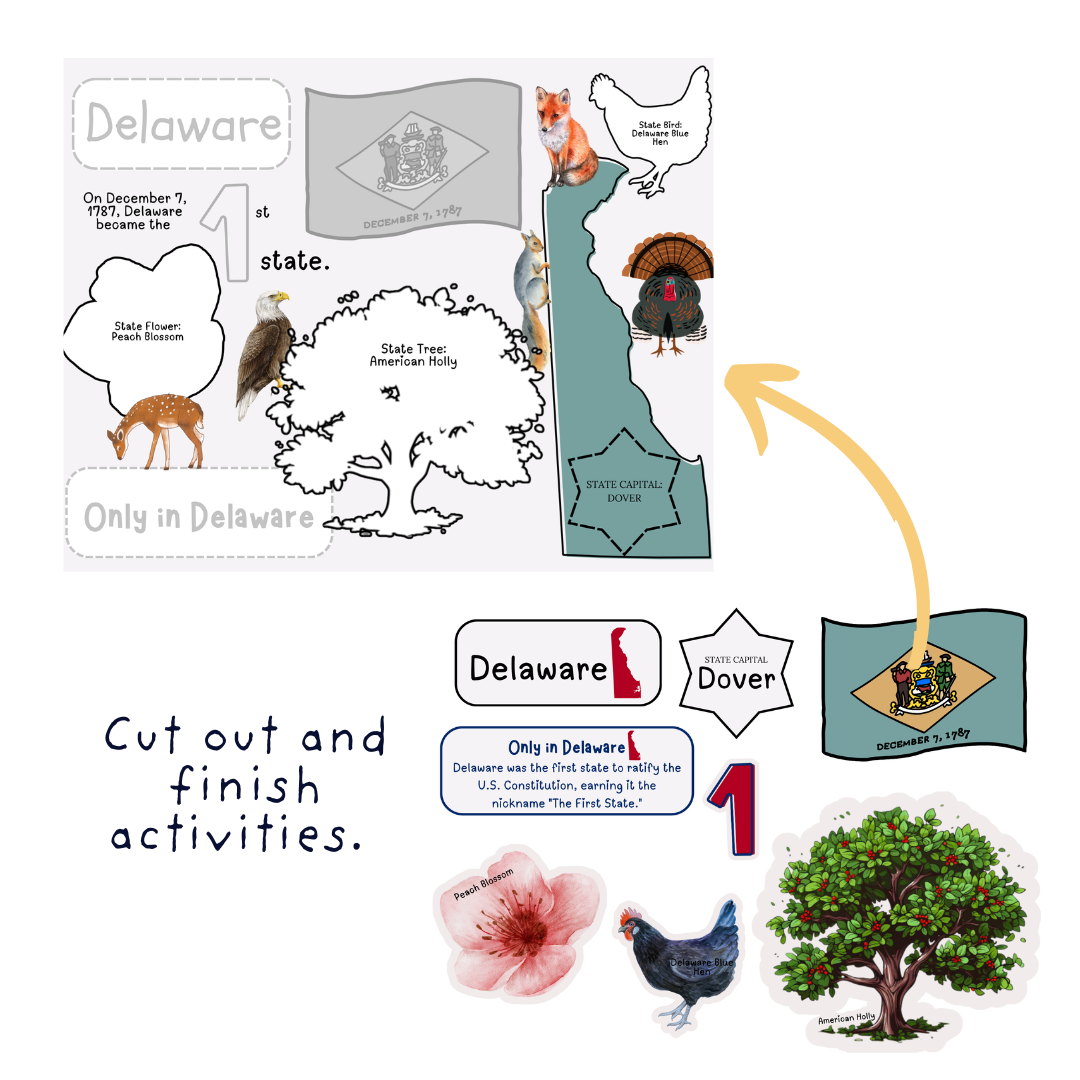 US State Busy Book (Canva Template) - Image 3