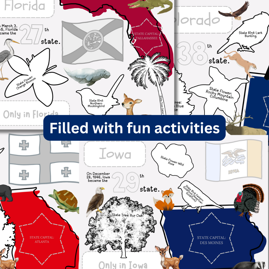US State Busy Book (Canva Template) - Image 2