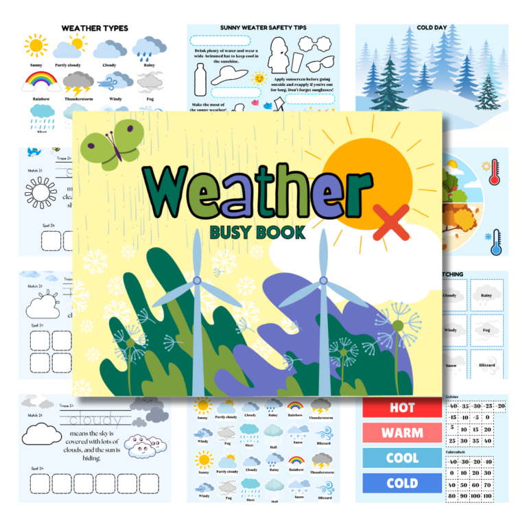 Cover image of weather busy book