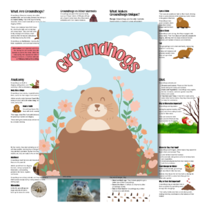 Cover image for groundhogs in pink
