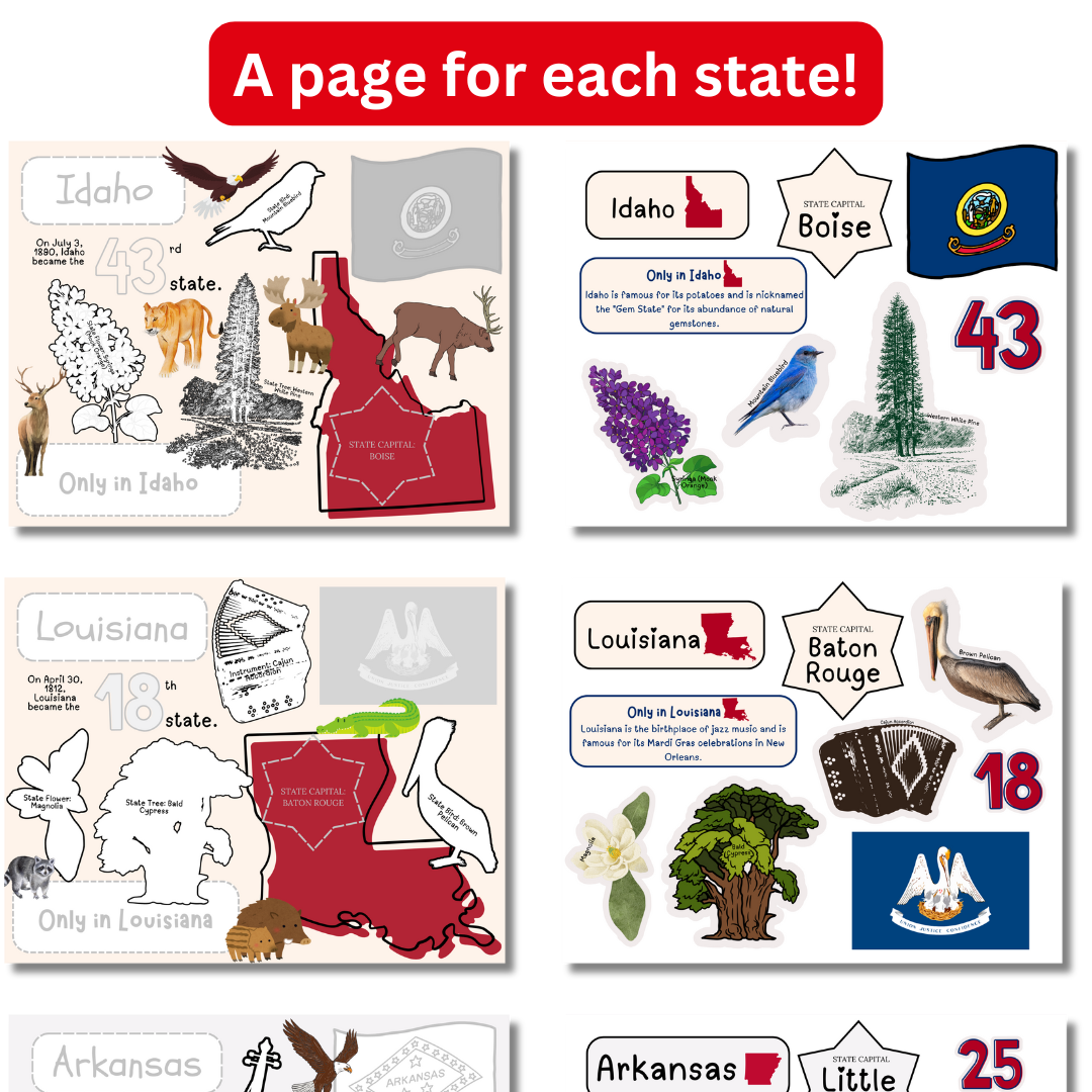 US State Busy Book - Image 2