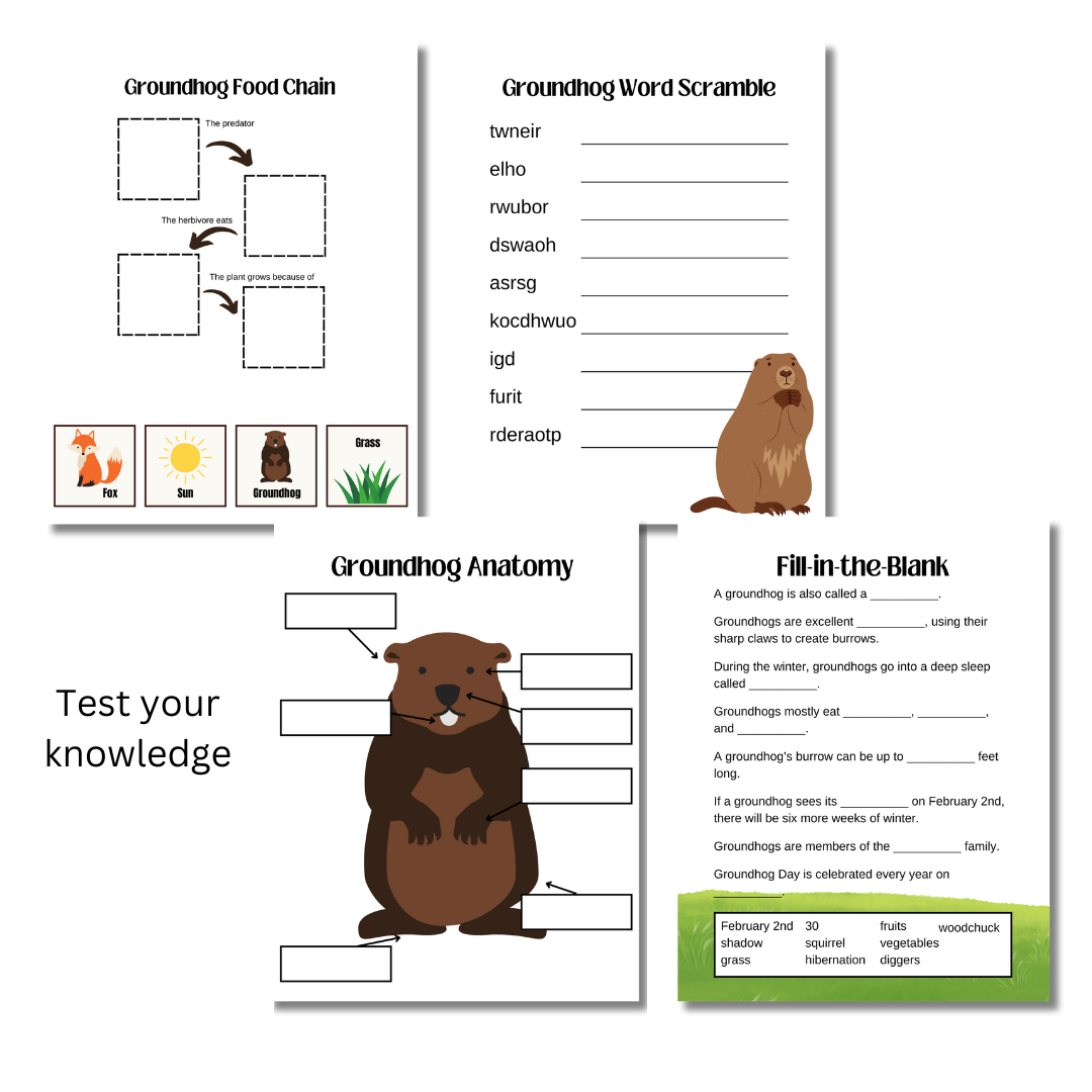 Unit Study: Groundhogs & Groundhog Day - Image 4