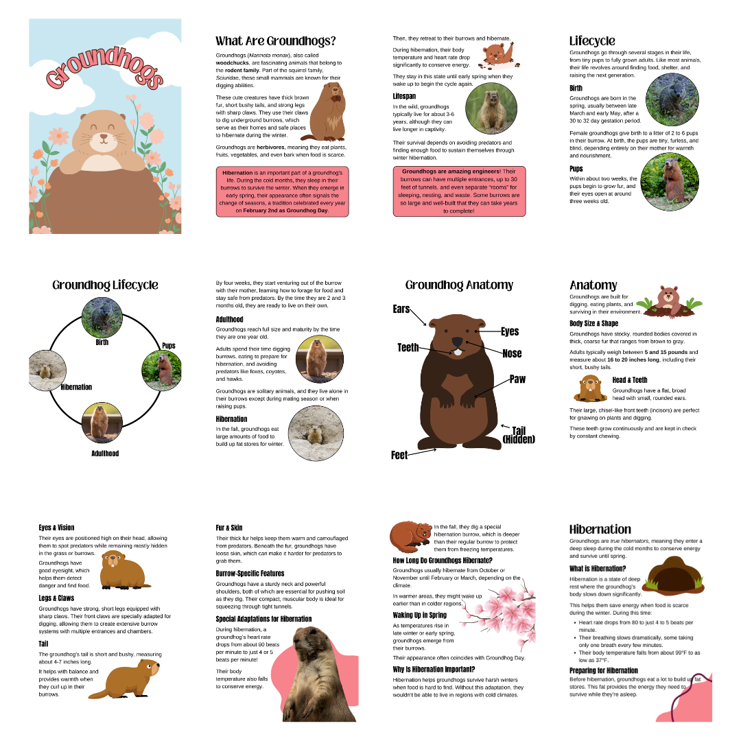 Unit Study: Groundhogs & Groundhog Day - Image 5