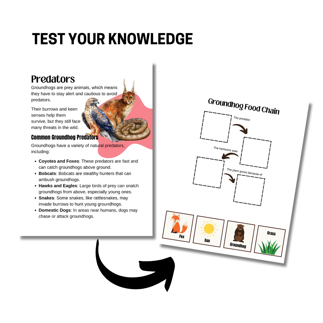 Unit Study: Groundhogs & Groundhog Day - Image 2