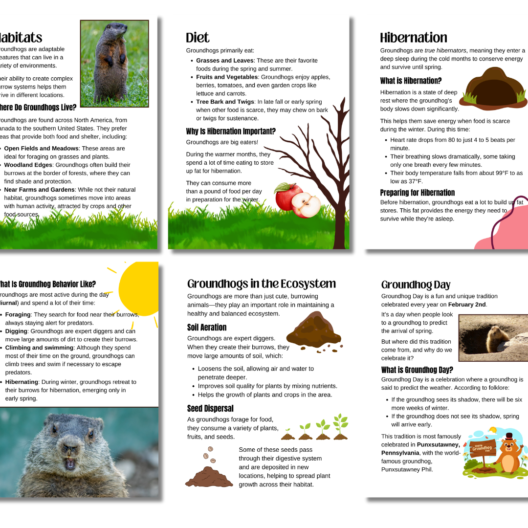 Unit Study: Groundhogs & Groundhog Day - Image 3