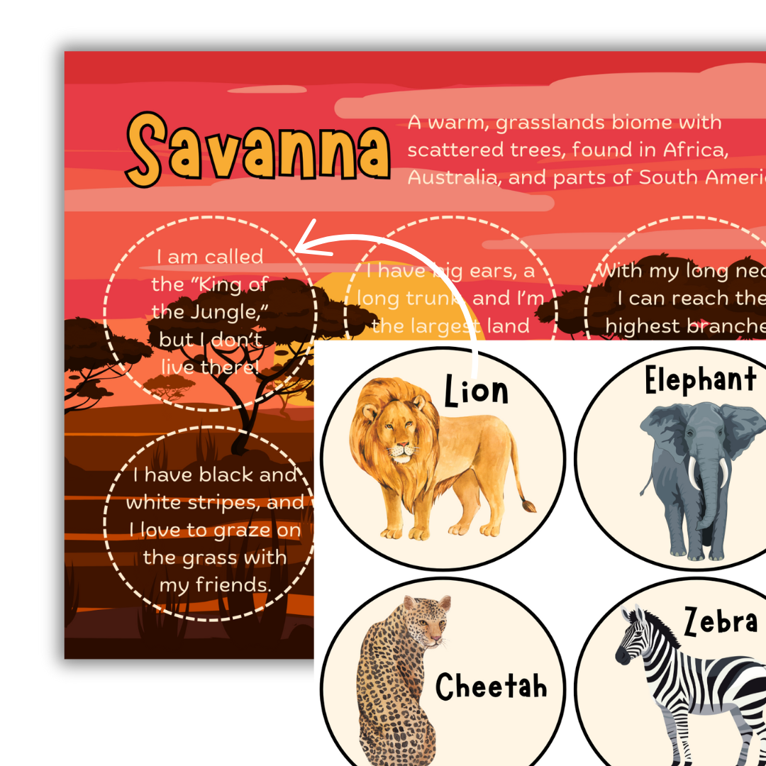 Animal Habitats Busy Brains Activity - Image 2