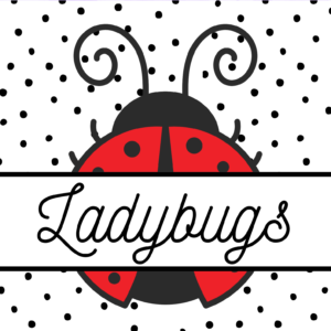 Cover image for Ladybugs busy brains book