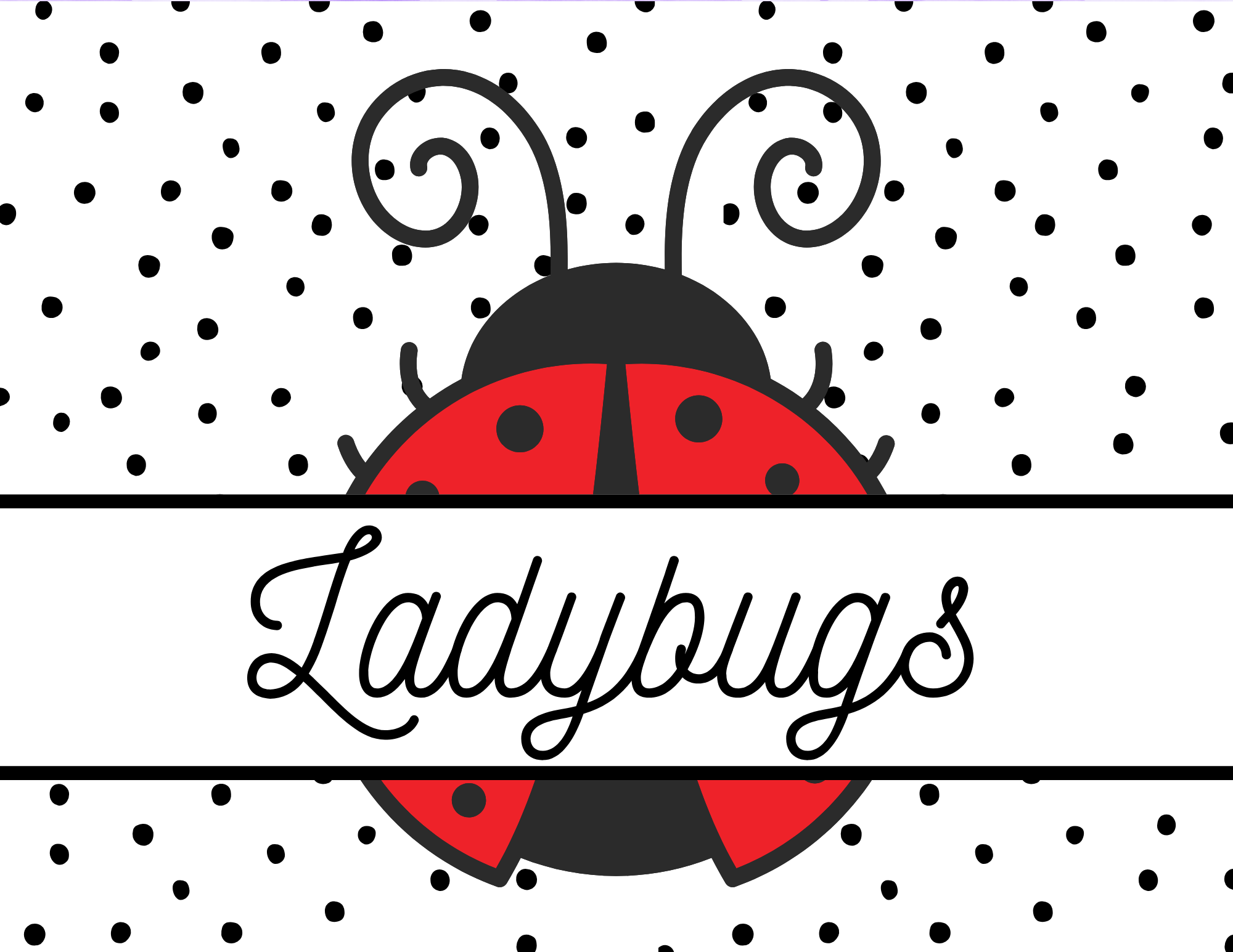 Cover image for Ladybugs busy brains book