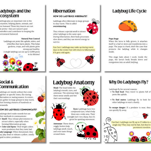 Ladybug Studies Ladybug Unit Study - Digital Bakerie Shop