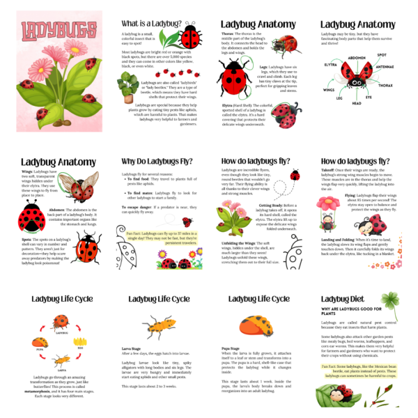 Ladybug Studies Ladybug Unit Study - Digital Bakerie Shop