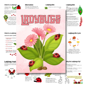 Ladybug Cover in Pink