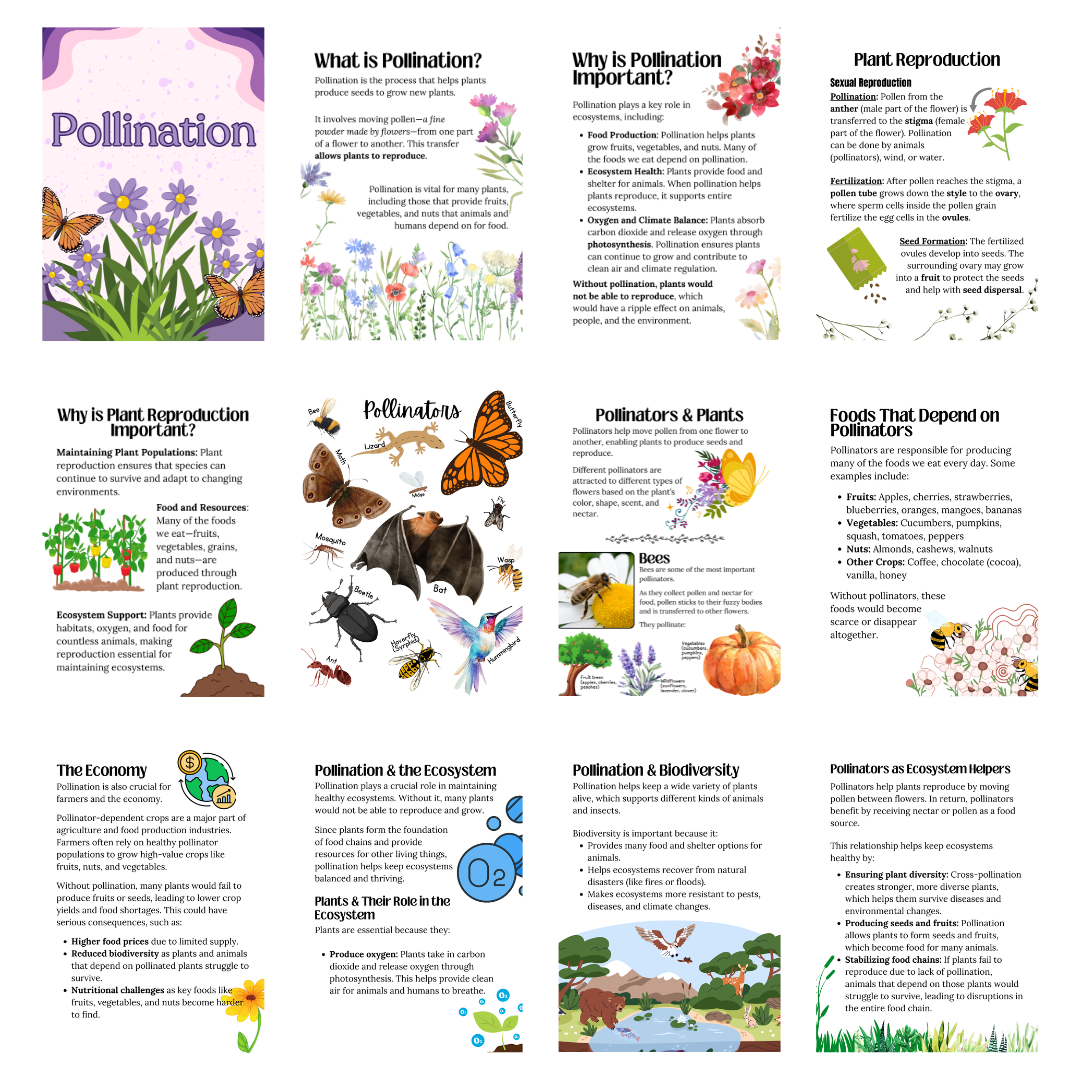 Pollination Unit Study - Digital Bakerie Shop