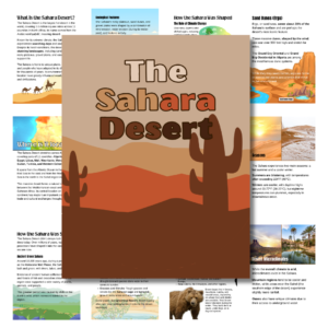 The Sahara Desert in Brown