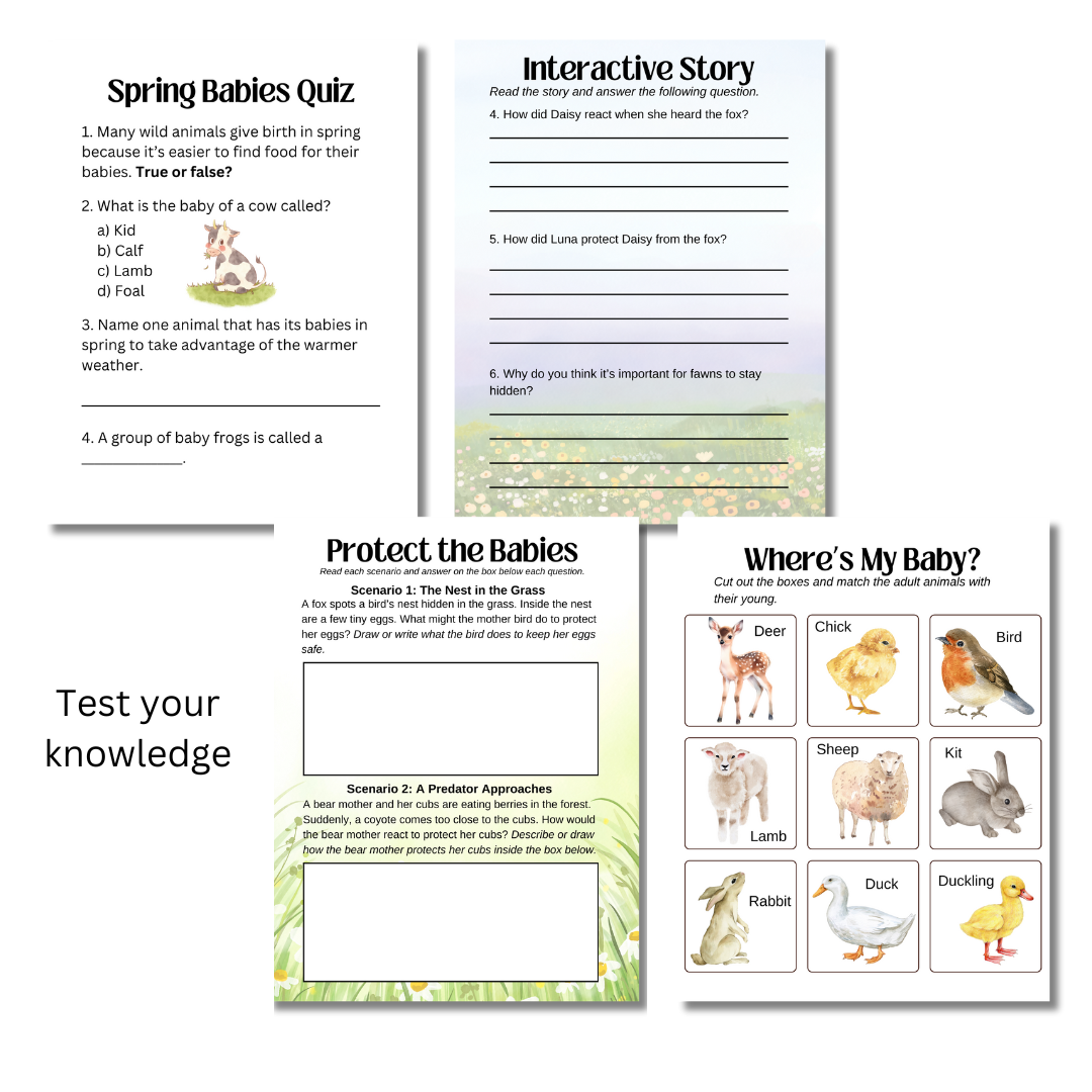 Spring Babies Unit Study - Image 5