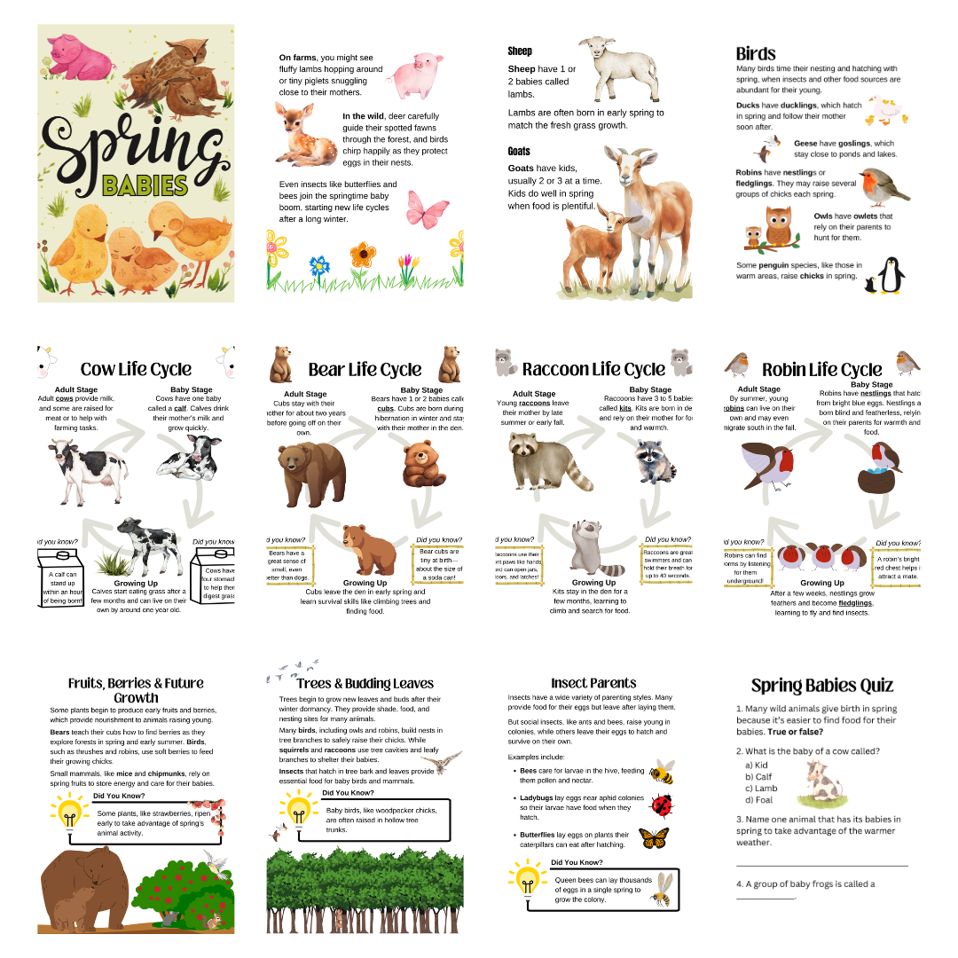 Spring Babies Unit Study - Image 7