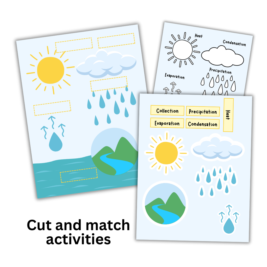 The Water Cycle: Micro Study - Image 3