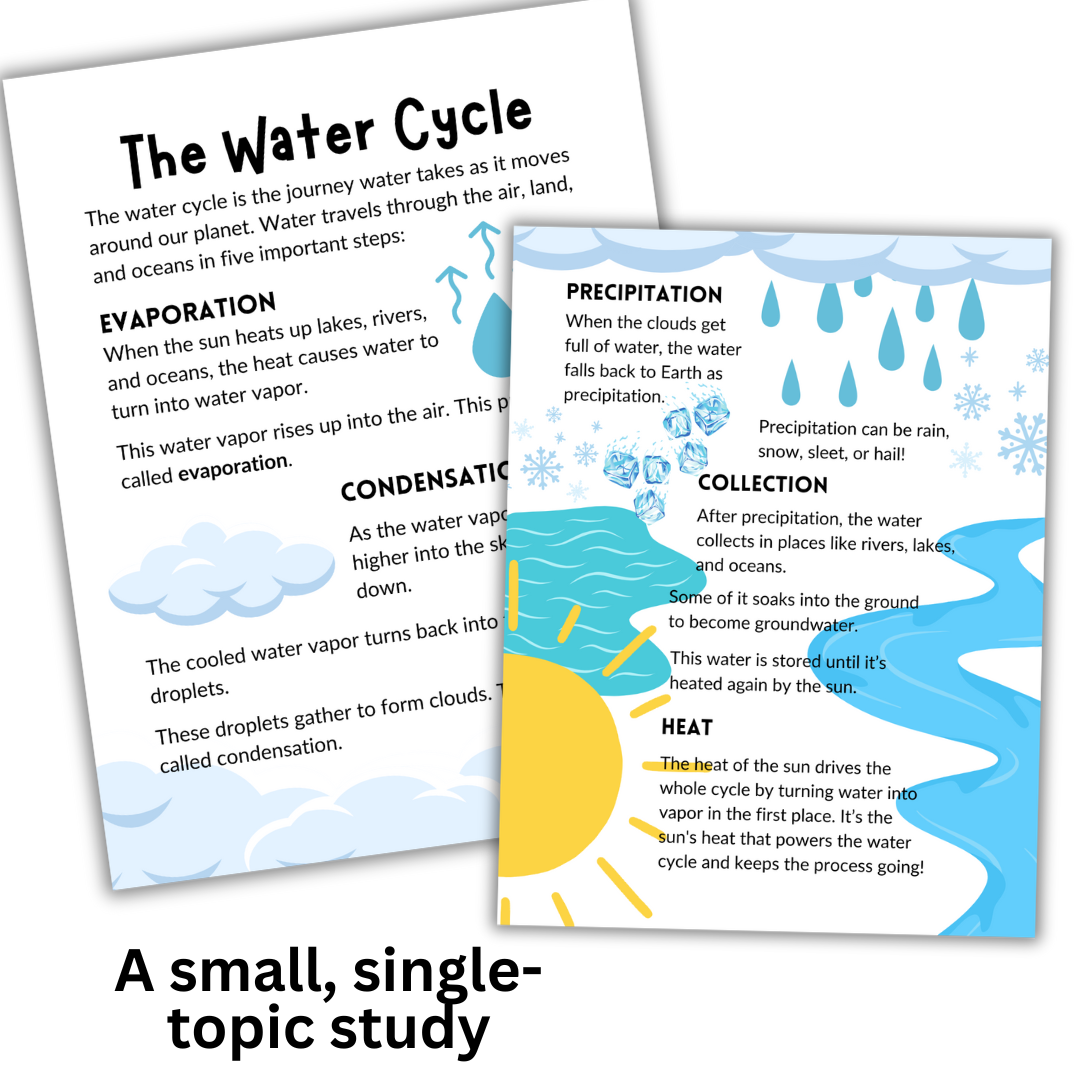 The Water Cycle: Micro Study - Image 2
