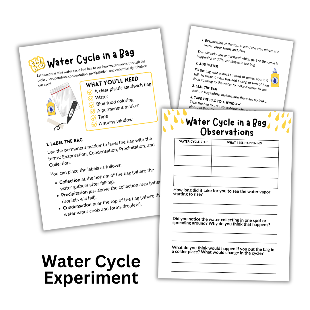 The Water Cycle: Micro Study - Image 4