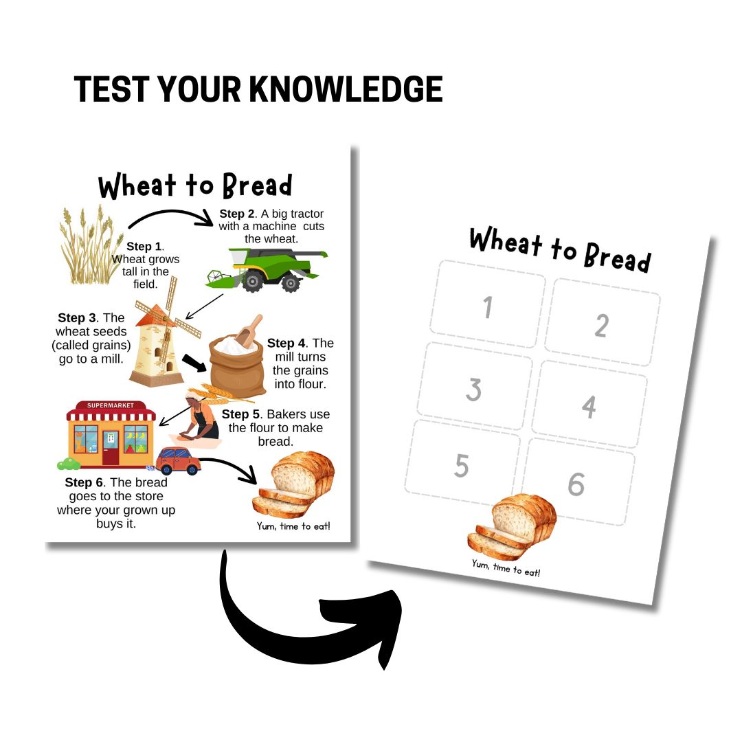 Farm Unit Study (Pre-K and Kindergarten) - Image 4