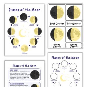Phases of the Moon in Blue
